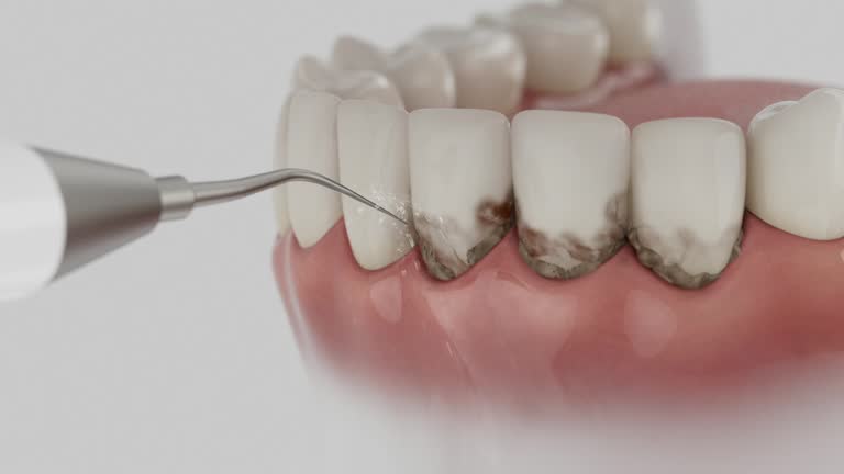 Reliable Dental contractor in Waynesburg, OH by Dentist Open Now